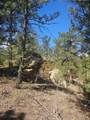 13265 Mountain Meadow Trace Terrace - Photo 36