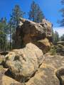 13265 Mountain Meadow Trace Terrace - Photo 39