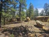 13265 Mountain Meadow Trace Terrace - Photo 40
