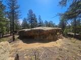 13265 Mountain Meadow Trace Terrace - Photo 42