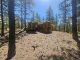 13265 Mountain Meadow Trace Terrace - Photo 43