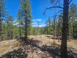 13265 Mountain Meadow Trace Terrace - Photo 44
