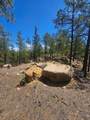 13265 Mountain Meadow Trace Terrace - Photo 45