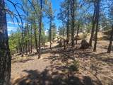13265 Mountain Meadow Trace Terrace - Photo 46