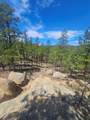 13265 Mountain Meadow Trace Terrace - Photo 47