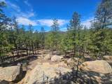 13265 Mountain Meadow Trace Terrace - Photo 48
