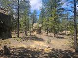 13265 Mountain Meadow Trace Terrace - Photo 56