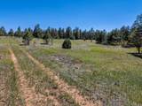 13583 Meadow Lark Drive - Photo 1