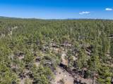 13583 Meadow Lark Drive - Photo 11