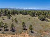 13583 Meadow Lark Drive - Photo 17