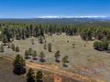 13583 Meadow Lark Drive - Photo 18