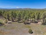13583 Meadow Lark Drive - Photo 2