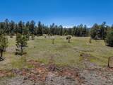 13583 Meadow Lark Drive - Photo 20