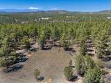 13583 Meadow Lark Drive - Photo 3