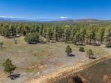 13583 Meadow Lark Drive - Photo 4