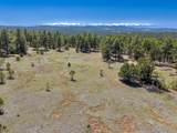 13583 Meadow Lark Drive - Photo 6