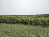 107 Rio Vista Drive - Photo 12