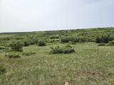 107 Rio Vista Drive - Photo 14
