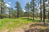 33002 Bobcat Ct - Photo 48