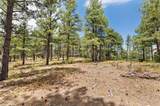33002 Bobcat Ct - Photo 49