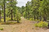 33002 Bobcat Ct - Photo 52