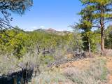 625 B Path - Photo 9