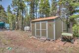 24844 Mt Elbert Drive - Photo 48