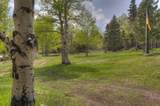 24844 Mt Elbert Drive - Photo 54