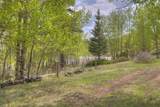 24844 Mt Elbert Drive - Photo 55