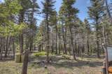 24844 Mt Elbert Drive - Photo 56
