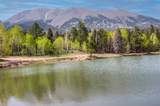 24844 Mt Elbert Drive - Photo 57