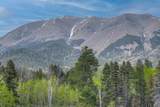 24844 Mt Elbert Drive - Photo 58