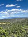 11958 Cielo Grande Rd - Photo 1