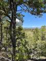 11958 Cielo Grande Rd - Photo 13