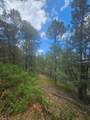 33036 Raton Overlook - Photo 11