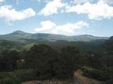 33036 Raton Overlook - Photo 14