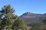 33036 Raton Overlook - Photo 19