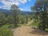 33036 Raton Overlook - Photo 5