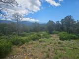 33036 Raton Overlook - Photo 6