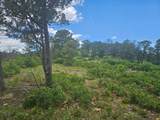 33036 Raton Overlook - Photo 8