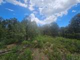 33036 Raton Overlook - Photo 9
