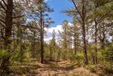 23490 Spirit Mountain Drive - Photo 20