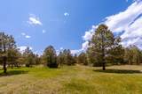 23490 Spirit Mountain Drive - Photo 21