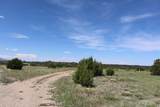  La Deora Blvd - Photo 20