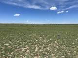 Lot 123e Turkey Ridge Ranch Filing 3 - Photo 11