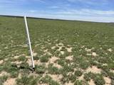 Lot 123e Turkey Ridge Ranch Filing 3 - Photo 12