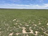 Lot 123e Turkey Ridge Ranch Filing 3 - Photo 4