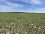 Lot 123e Turkey Ridge Ranch Filing 3 - Photo 6