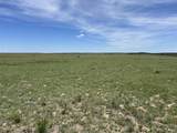 Lot 123e Turkey Ridge Ranch Filing 3 - Photo 7