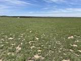 Lot 123e Turkey Ridge Ranch Filing 3 - Photo 9